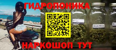 дживик Камышлов