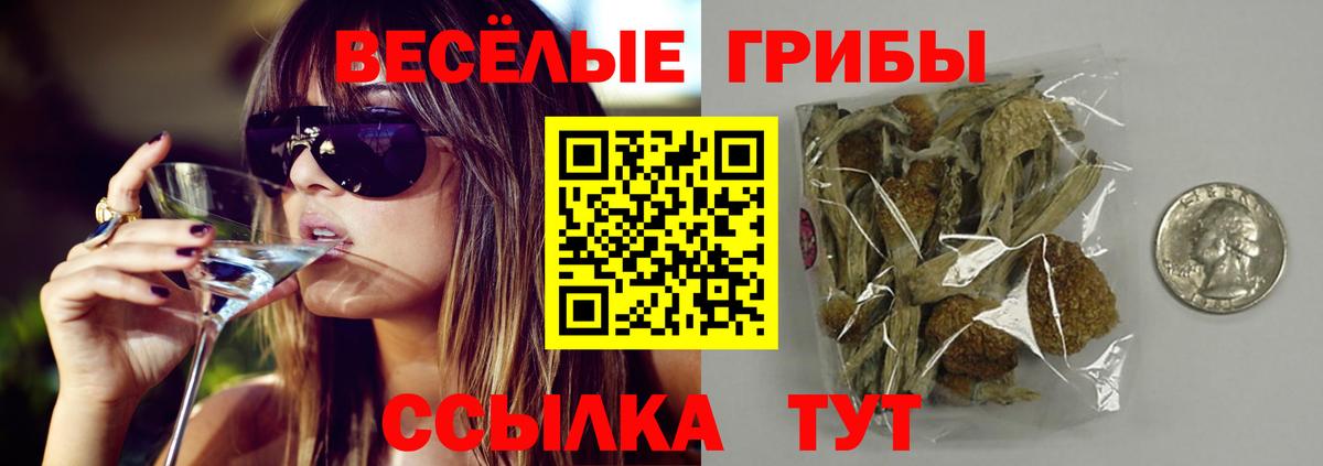 Псилоцибиновые грибы ЛСД Луга
